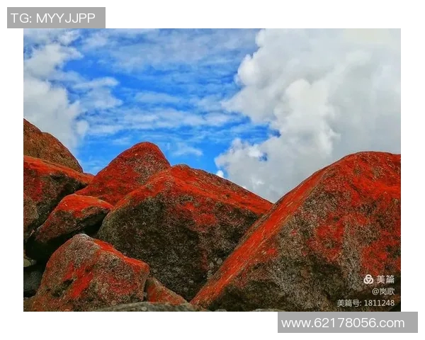 探索阿拉巴的魅力与文化底蕴,体验独特的风土人情与自然风光 探索阿拉巴的魅力与文化底蕴,体验独特的风土人情与自然风光