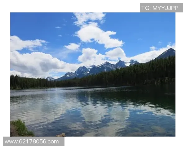 温哥华白猫与西雅图海湾精彩对决视频回顾与分析