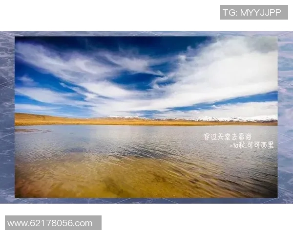 王岚的音乐旅程与人生哲学探索：从创作到演出背后的故事与感悟