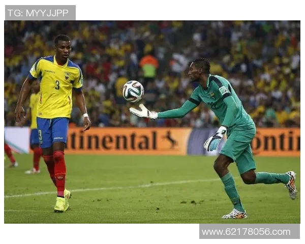 韩国与哥伦比亚足球对决数据分析及比赛回顾