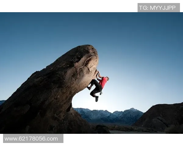 飞盘之路:杨静分享她的成长与挑战经历 飞盘之路:杨静分享她的成长与挑战经历