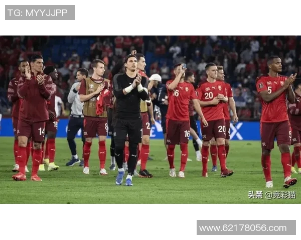 北爱尔兰与瑞士精彩对决直播全程回顾与分析